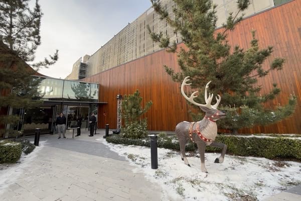 Corporate Holiday Parties