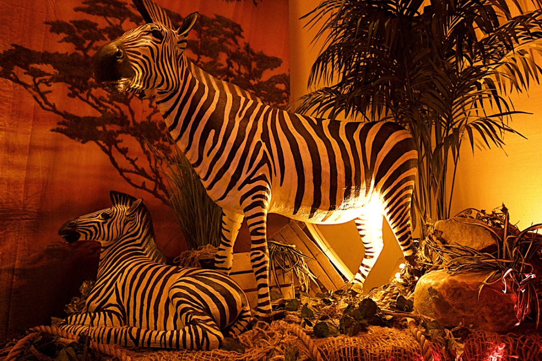 around_world_0002_EyeofPassion_000 15