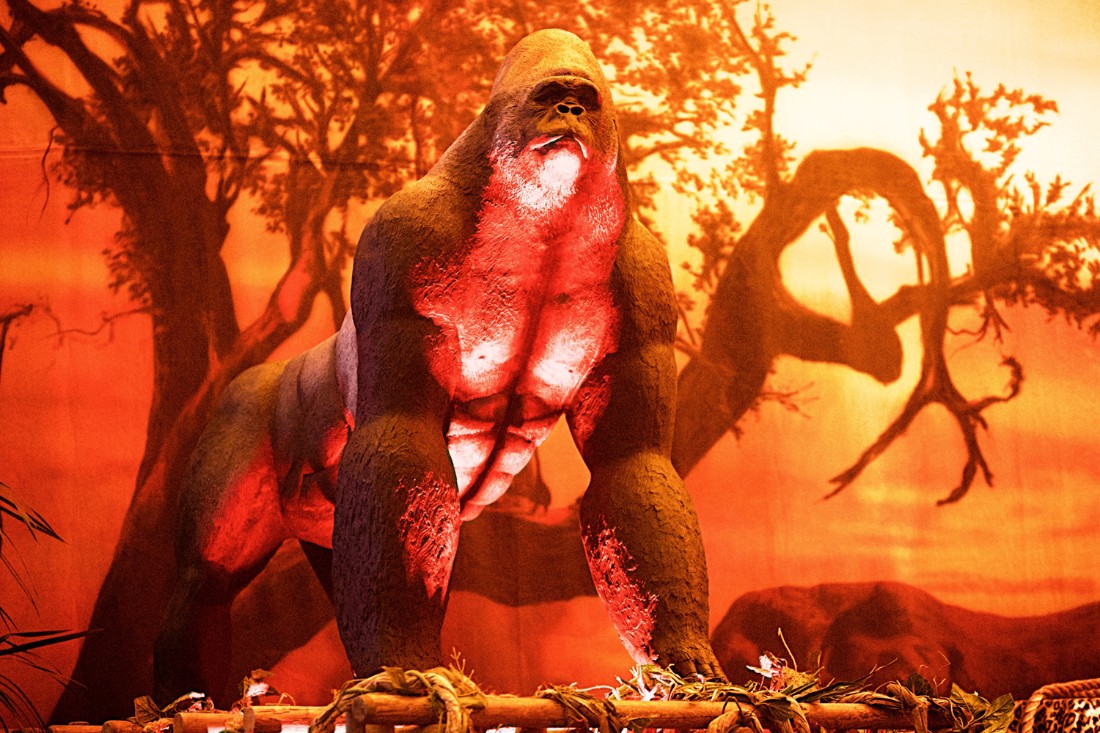 around_world_0008_EyeofPassion_000 38