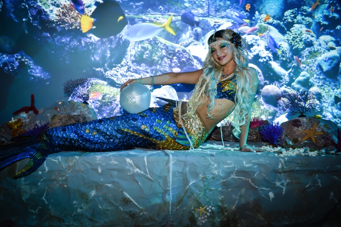 imagine_0008_DSC_2634